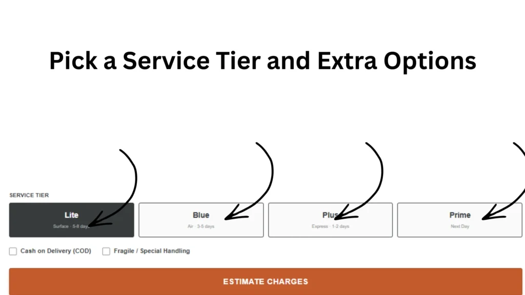 Pick a Service Tier and Extra Options